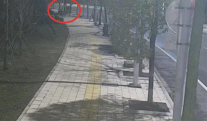 南宫28拘留！为了装扮废品回收站男子“顺”走足球场的人造草皮