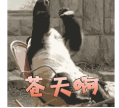 南宫NG·28(中国)官方网站足球场上乐极生悲的那些事：在阿森纳庆祝有时都是一种(图8)