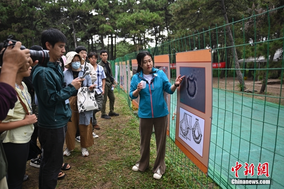 南宫28北京：圆明园考古工地迎来公众开放日(图4)
