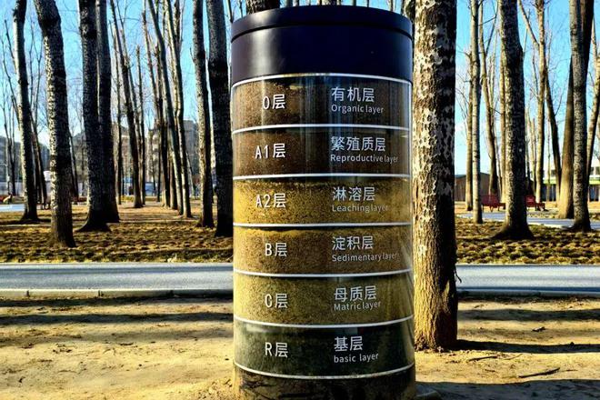 南宫NG·28(中国)官方网站特色健身步道、儿童游乐场…快来顺义这处火出圈的宝藏(图9)